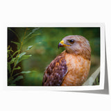 Vibrant wall art print showcasing a variety of colorful birds in a striking design, ideal for home decor. Rolled and packaged securely for easy display.
