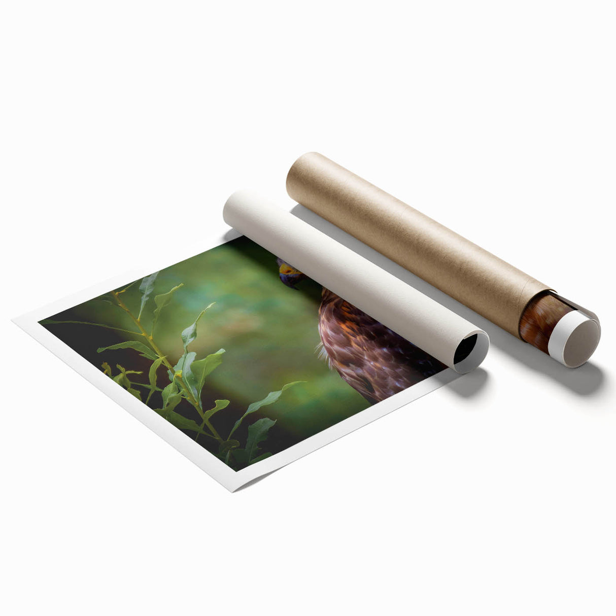 Colorful wall art featuring a stunning design of various birds in flight, ideal for home decor. This rolled print is perfect for adding a vibrant, nature-inspired touch to any space.