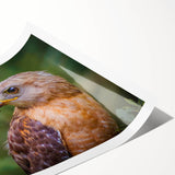 Colorful wall art print showcasing a stylized design of birds in flight against a textured background, perfect for adding a vibrant touch to home decor. This rolled print is ideal for art enthusiasts seeking unique, nature-inspired wall decorations.