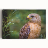 Vibrant wall art canvas featuring a collection of colorful birds in flight, set against a soft pastel background, ideal for enhancing home decor.
