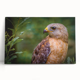 Vibrant stretched canvas art featuring a colorful birds of prey design, leaning against a modern wall, ideal for contemporary home decor.