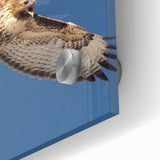 Close-up of a vibrant acrylic glass wall art piece showcasing a colorful bird design from the "Birds of Pray" collection, ideal for home decor.