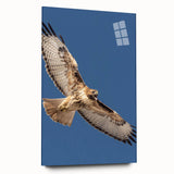 Acrylic glass wall art featuring a vibrant "Birds of Pray" design, showcased in a side view without pins, highlighting intricate details and colors, ideal for modern decor.