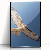 Framed wall art featuring a striking design of birds of prey, highlighted by a sleek black frame. The vibrant colors and intricate details create a captivating focal point for any space, ideal for bird enthusiasts and art collectors.