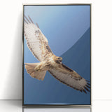 Framed acrylic wall art showcasing a stunning collection of birds in flight, featuring vibrant colors and intricate details, perfect for home decor enhancement.