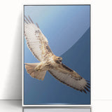 Framed wall art featuring a vibrant birds of prey design with a white border, showcasing detailed illustrations of various raptors against a sleek acrylic background, perfect for home decor.