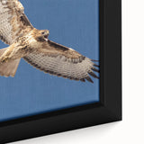 Close-up of a framed canvas wall art featuring a vibrant and detailed depiction of birds, showcasing intricate colors and textures, ideal for nature-inspired decor.