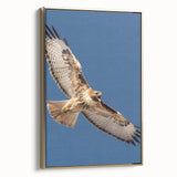 Framed canvas wall art showcasing a vibrant birds of prey design in gold tones, displayed in a stylish setting, perfect for enhancing home decor with nature-inspired elegance.
