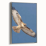 Framed canvas wall art showcasing a detailed design of birds, featuring a silver frame and elegant side view, perfect for enhancing home decor.