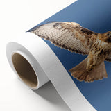 Vibrant rolled canvas artwork featuring a colorful bird design, showcasing intricate details and textures, ideal for home decor or gallery display. Perfect for bird lovers and art enthusiasts alike.