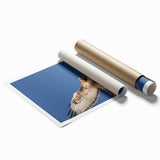 Colorful rolled wall art print featuring a vibrant birds of prey design, showcasing intricate details and textures, perfect for home decor or art enthusiasts.