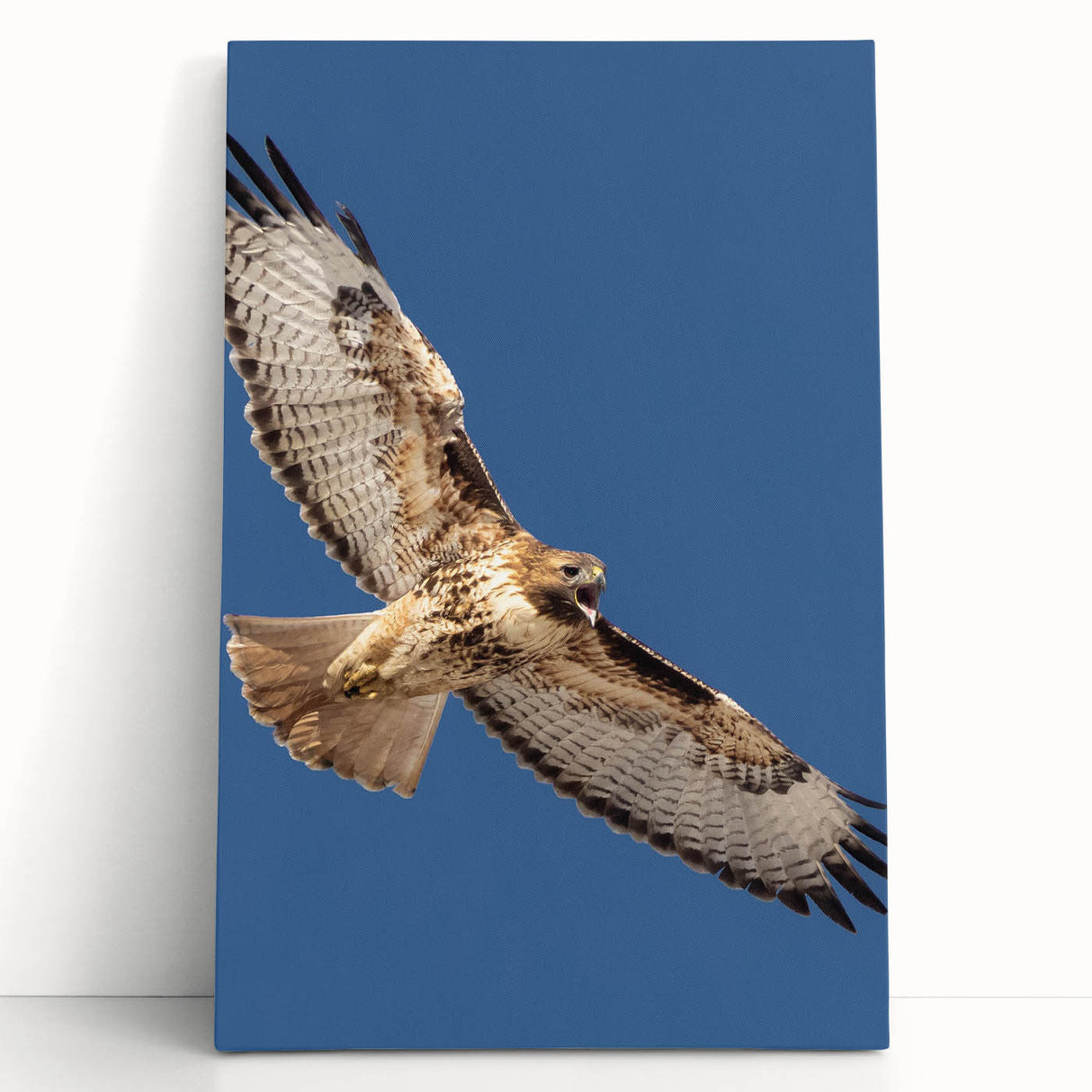 Stretched canvas wall art showcasing a vibrant bird design with intricate details, leaning against a wall, ideal for modern home decor in living spaces.