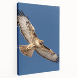 Stretched canvas wall art featuring a vibrant design of colorful birds, showcasing intricate details and bold hues, perfect for enhancing any living space decor.