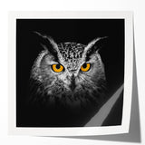 Glossy wall art print showcasing a vibrant collection of birds of prey, featuring detailed illustrations and rich colors, perfect for nature enthusiasts.