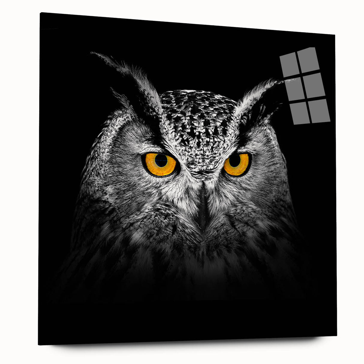 Acrylic glass wall art featuring a vibrant bird design, showcasing intricate details and colors, ideal for modern home decor. The side view highlights its sleek frame and absence of pins.