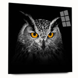 Acrylic glass wall art featuring a vibrant bird design, showcasing intricate details and colors, ideal for modern home decor. The side view highlights its sleek frame and absence of pins.