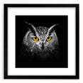 Framed wall art featuring a striking design of birds of prey in black and white, set against a sleek black mat, perfect for modern home decor.