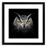 Framed wall art featuring a striking design of birds of prey in black and white, set against a sleek black mat, perfect for modern home decor.