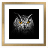 Framed wall art featuring vibrant birds of prey design with a gold mat, showcasing intricate details and a contemporary aesthetic, perfect for home decor.