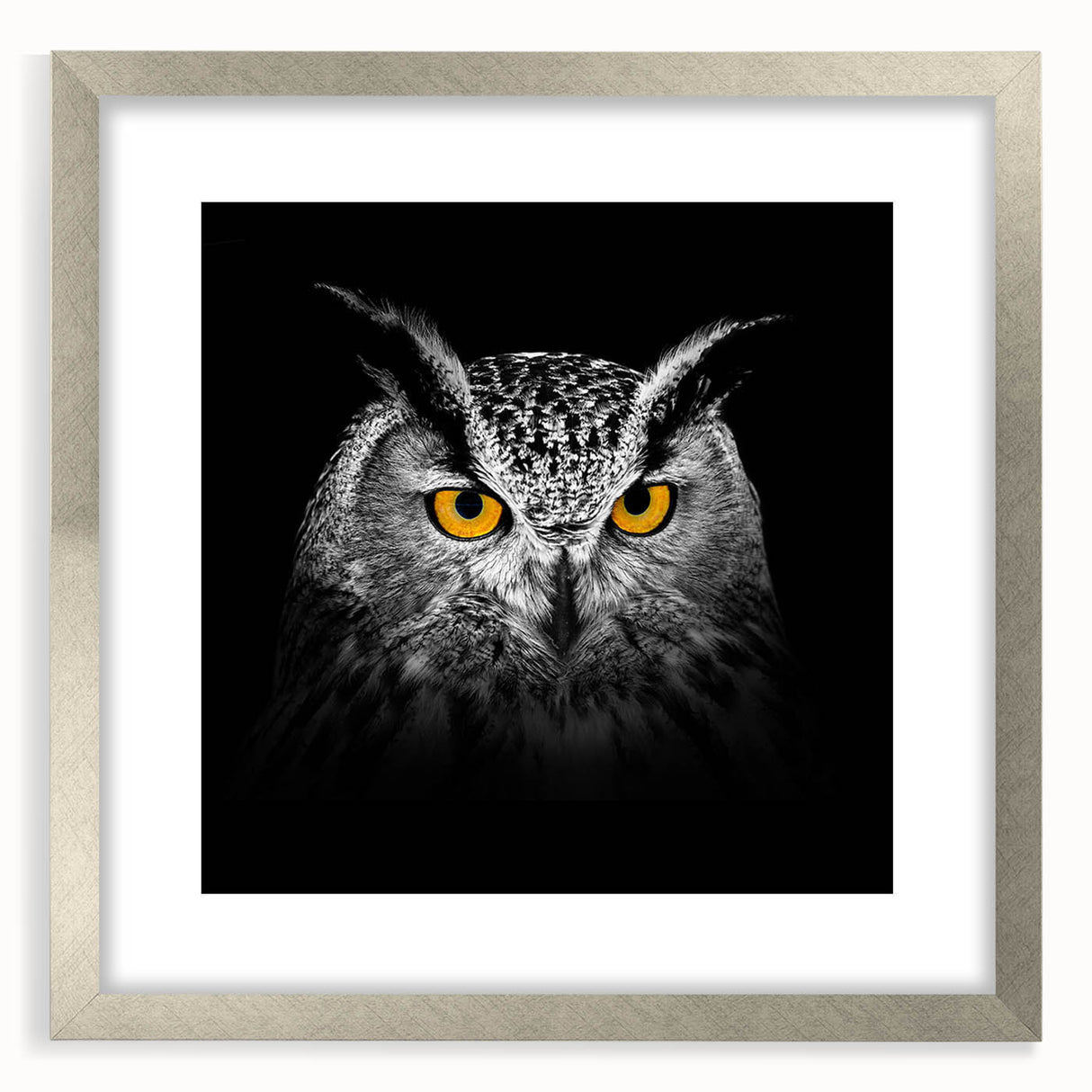 Framed wall art featuring a silver mat and a vibrant birds of prey design, showcasing intricate details and colors, ideal for enhancing home decor.