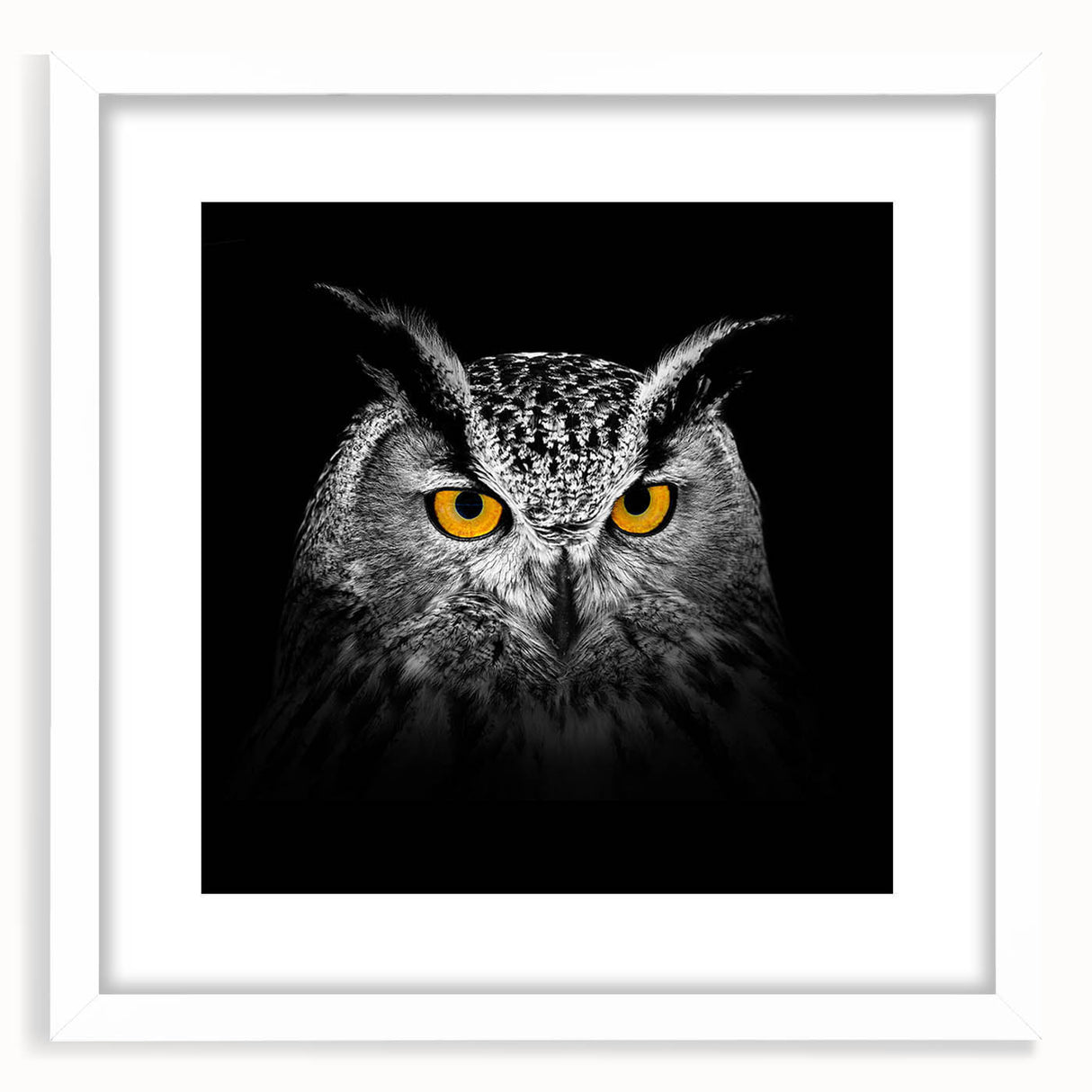 Framed wall art showcasing an intricate birds of prey design in vibrant colors, set against a white mat, ideal for home decor or nature-themed spaces.