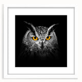 Framed wall art showcasing an intricate birds of prey design in vibrant colors, set against a white mat, ideal for home decor or nature-themed spaces.