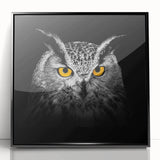 Framed acrylic wall art featuring a vibrant "Birds of Pray" design, showcasing colorful birds in flight against a sleek black background, perfect for modern decor.