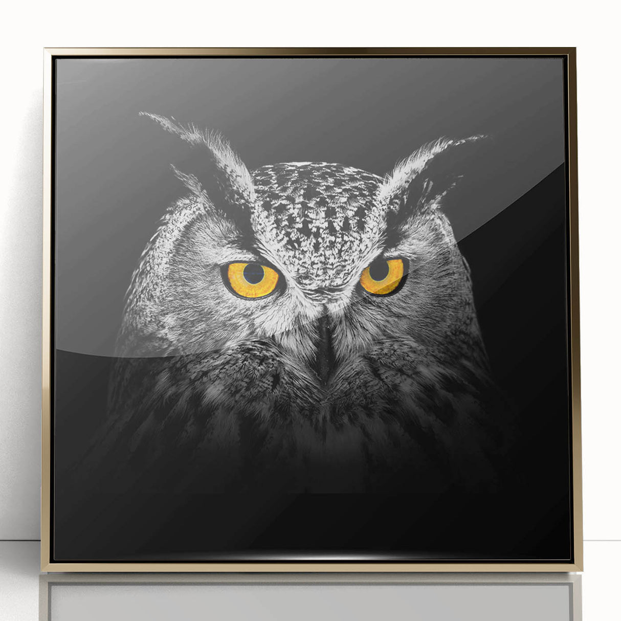 Framed wall art featuring a vibrant "Birds of Pray" design with gold accents, showcasing various bird species against a sleek acrylic background, perfect for home decor.