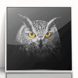 Framed acrylic wall art featuring a vibrant bird design from the "Birds of Pray" collection, displayed in a sleek white frame, ideal for contemporary decor.