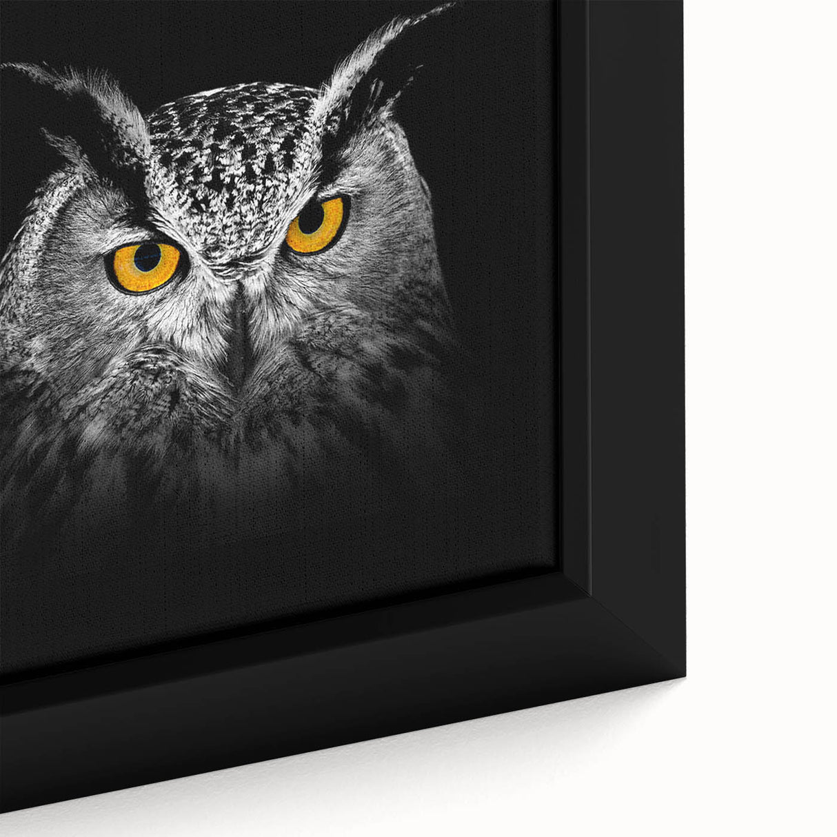 Close-up of a framed canvas wall art piece depicting a colorful bird design, showcasing intricate details and vibrant hues, perfect for enhancing interior decor.
