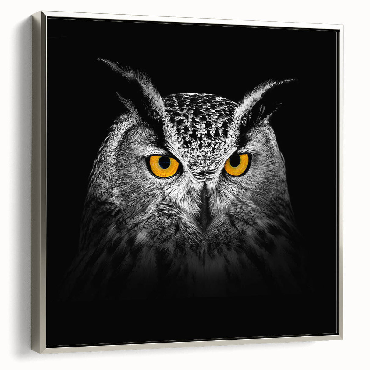 Framed canvas wall art showcasing a stunning silver side view of birds in flight, part of the 'Birds of Pray' collection, perfect for modern decor.