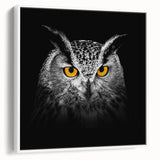 Framed wall art featuring a vibrant birds of prey design on canvas, showcasing detailed illustrations in bright colors, displayed at an angle against a white backdrop.