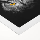 Colorful rolled canvas wall art showcasing a vibrant bird design, ideal for home decor, featuring intricate details and a textured surface for added depth.