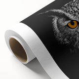 Rolled canvas artwork showcasing a vibrant birds of prey design, featuring rich colors and intricate details, perfect for home decor and nature enthusiasts.