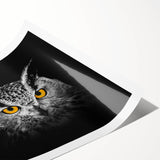 Birds of Prey wall art print showcasing a vibrant, detailed illustration of various birds in flight, rolled for easy transport and display, ideal for nature enthusiasts.