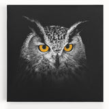 Stretched canvas artwork depicting a vibrant birds of prey design, showcasing intricate details and vivid colors, perfect for contemporary home decor.