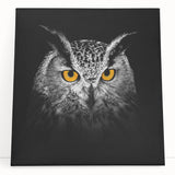 Stretched canvas wall art featuring a vibrant design of birds of prey, showcasing intricate details and rich colors, perfect for wildlife enthusiasts and home decor.
