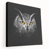 Stretched canvas wall art featuring a vibrant birds of prey design, showcasing intricate details and rich colors, ideal for wildlife enthusiasts and home decor.