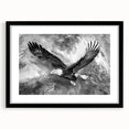 Framed wall art featuring a striking black mat and a vibrant "Birds of Prey" design, showcasing intricate details and colors, perfect for modern home decor.