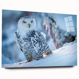 Acrylic glass wall art featuring an intricate birds of prey design, showcasing vibrant colors and detailed illustrations, presented in a sleek side view without pins.