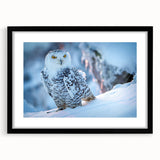 Framed wall art featuring a striking birds of prey design in vibrant colors, set in a sleek black frame with a white mat, perfect for enhancing modern decor.