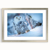 Framed wall art featuring a detailed design of birds of prey, showcasing a silver mat and sleek frame, perfect for enhancing modern home decor.