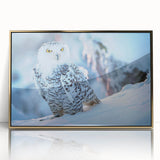 Framed acrylic wall art featuring a striking 'Birds of Prey' design, showcasing intricate details and vibrant gold accents, perfect for home décor enthusiasts.