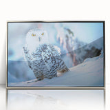 Framed acrylic wall art showcasing a striking birds of prey design with silver accents, perfect for adding a contemporary touch to home decor.