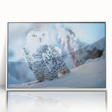 Framed acrylic wall art featuring a vibrant birds of prey design, showcasing striking colors and intricate details, ideal for enhancing modern decor.