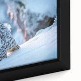 Framed wall art featuring a vibrant close-up of a "Birds of Pray" design, showcasing intricate details and rich colors, perfect for home decor enthusiasts.