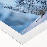 Vibrant rolled canvas showcasing a detailed design of majestic birds in flight, perfect for nature-inspired home decor. The artwork is elegantly packaged in a protective cardboard tube.