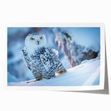 Colorful rolled print featuring a vibrant birds of prey design, showcasing intricate details and textures, perfect for home decor or art enthusiasts.