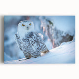 Stretched canvas artwork showcasing a vibrant birds of prey design, featuring rich colors and intricate details, perfect for enhancing home decor or office aesthetics.