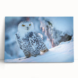 Vibrant stretched canvas wall art featuring a striking bird of prey design, showcasing intricate details and vivid colors, perfect for home decor and nature enthusiasts.